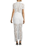 Marcela Guipure Lace Short-Sleeve Bridal Gown, White