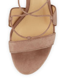 Meghan 60mm Gladiator Sandal, Cameo