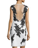 Cap-Sleeve Lace Sheath Cocktail Dress 