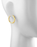 Giant Diamond 19k Gold Hoop Earrings