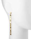 Lush 24k Gold Single Drop Earrings