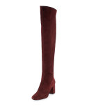 Babies Suede Over-The-Knee Boot, Amaranto