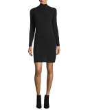 Cashmere Long-Sleeve Turtleneck Dress 