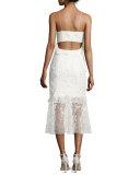 Milan Sleeveless Lace Fit-and-Flare Cocktail Dress, Ivory