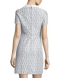 Marion Collared Lace Dress, Black/Ivory