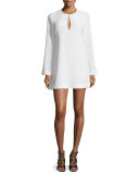 Brianna Long-Sleeve Mini Dress