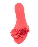 Lilico Floral Slide Sandal, Fluorescent Pink