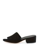 Rachelle 2 Suede Block-Heel Mule Sandal