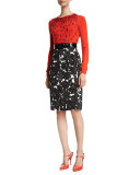 Wide Patent Alligator Belt