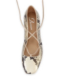 Faith Python-Print Lace-Up Ballerina Flat, Roccia