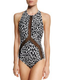 Kayak Animal-Print One-Piece Swimsuit with Mesh Inserts