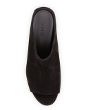 Petra Suede Block-Heel Mule Sandal
