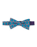 Pre-Tied Polka-Dot Bow Tie, Gray/Blue
