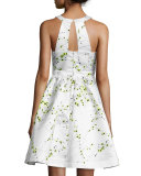 Christine Fit & Flare Printed Dress 