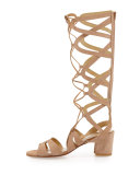 Grecian Suede Tall Gladiator Sandal