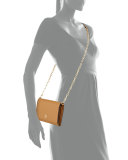 Robinson Wallet-On-Chain, Tigers Eye