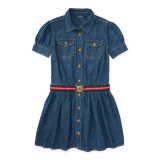 Denim Shirtdress