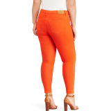 Premier Skinny Ankle Jean