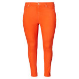 Premier Skinny Ankle Jean