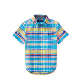 Madras Cotton Oxford Shirt