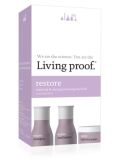 Restore Travel Kit