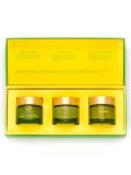 The Multi-Masking Collection
