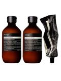 The Impassioned Wanderer Hair Care Kit