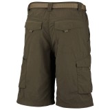 Columbia Sportswear Silver Ridge Cargo Shorts - UPF 50 (For Men)