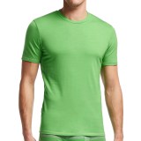 Icebreaker Anatomica T-Shirt - UPF 30+, Merino Wool, Short Sleeve (For Men)