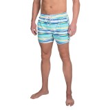 2(x)ist Awning Stripe Ibiza Swim Shorts (For Men)