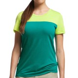 Icebreaker Tech Lite Color-Block T-Shirt - UPF 30+, Merino Wool, Short Sleeve (For Women)