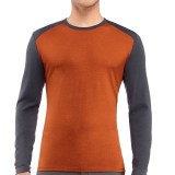 Icebreaker Tech Shirt - UPF 30+, Merino Wool, Midweight, Long Sleeve (For Men)