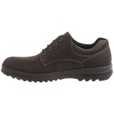 ECCO Darren Plain Toe Gore-Tex® Shoes - Waterproof, Leather (For Men)