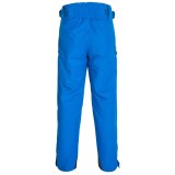 Phenix Shade Ski Pants - Waterproof, Insulated (For Men)