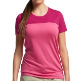 Icebreaker Tech Lite Color-Block T-Shirt - UPF 30+, Merino Wool, Short Sleeve (For Women)