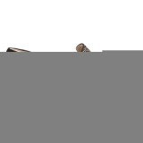 Clarks Coll Island Shoes - Leather, Slip-Ons (For Women)