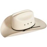 Bailey of Hollywood Carmine Straw Cowboy Hat (For Men and Women)