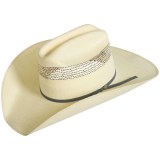 Bailey of Hollywood Alonzo Straw Cowboy Hat (For Men and Women)