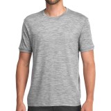 Icebreaker 150 Tech T-Lite Shirt - UPF 30+, Merino Wool, Short Sleeve (For Men)