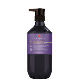 Theorie Purple Sage Brightening Conditioner 13.5 fl oz