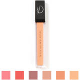 High Definition Lip Gloss (Various Shades)