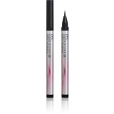 DHC Liquid Eyeliner EX - Black