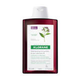 KLORANE Quinine B6 Shampoo (200ml)