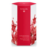 Dr. Hauschka The Secret of Roses Gift Set