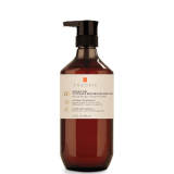 Theorie Argan Oil Ultimate Reform Shampoo 13.5 fl oz