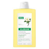 KLORANE Shampoo with Magnolia - 13.5 fl. oz.