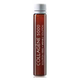 Thalgo Collagen 5000 Wrinkle Solution