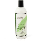 Archipelago Botanicals Morning Mint Shampoo