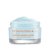 Dr. Dennis Gross Hyaluronic Moisture Cushion