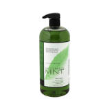 Archipelago Botanicals Morning Mint Body Wash
